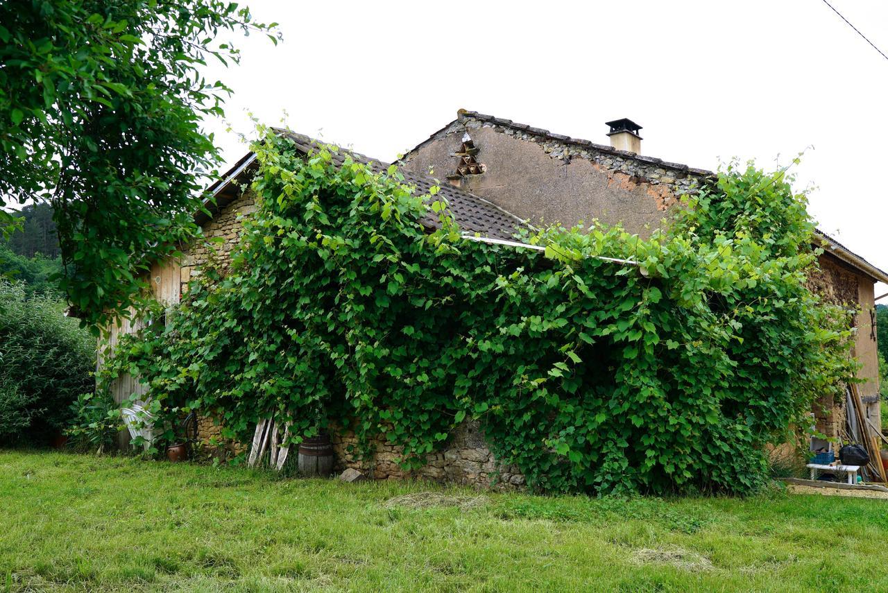 La Prairie Villa Siorac-en-Périgord Exteriör bild